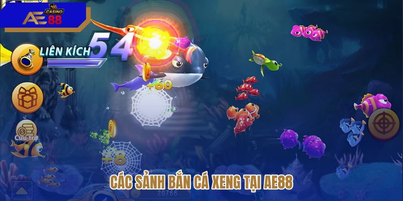 cac-sanh-ban-ca-xeng-tai-ae88 cac-sanh-ban-ca-xeng-tai-ae88
