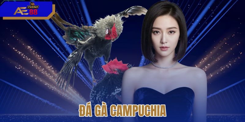 Đá gà campuchia