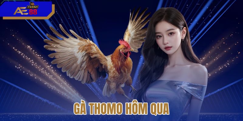 Gà thomo hôm qua