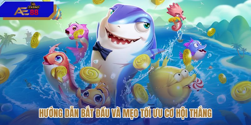 huong-dan-bat-dau-va-meo-toi-uu-co-hoi-thang huong-dan-bat-dau-va-meo-toi-uu-co-hoi-thang