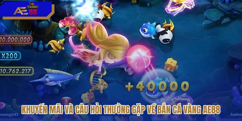 khuyen-mai-va-cau-hoi-thuong-gap-ve-ban-ca-vang-ae88 khuyen-mai-va-cau-hoi-thuong-gap-ve-ban-ca-vang-ae88
