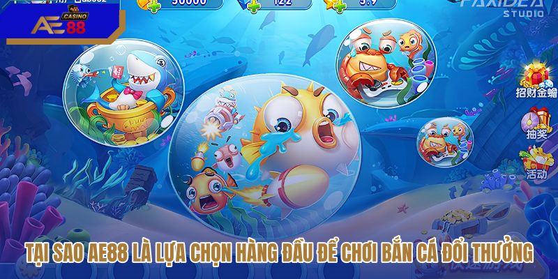 tai-sao-ae88-la-lua-chon-hang-dau-de-choi-ban-ca-doi-thuong tai-sao-ae88-la-lua-chon-hang-dau-de-choi-ban-ca-doi-thuong