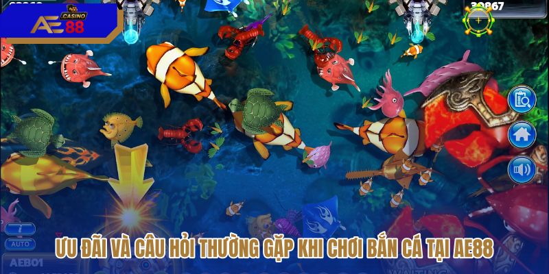 uu-dai-va-cau-hoi-thuong-gap-khi-choi-ban-ca-tai-ae88 uu-dai-va-cau-hoi-thuong-gap-khi-choi-ban-ca-tai-ae88