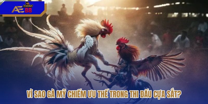 vi-sao-ga-my-chiem-uu-the-trong-thi-dau-cua-sat vi-sao-ga-my-chiem-uu-the-trong-thi-dau-cua-sat